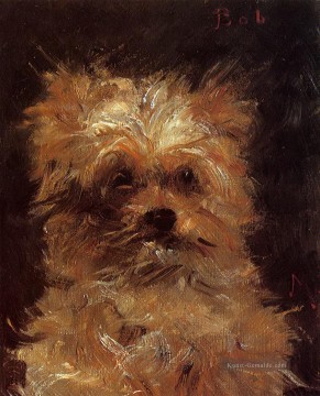  Hund Galerie - Kopf eines hund Eduard Manet